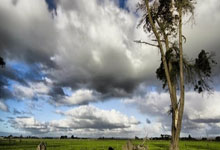 （体育）乒乓球——WTT中国大满貫(guàn)赛：黄友政/陈熠晋級(jí)混双四强