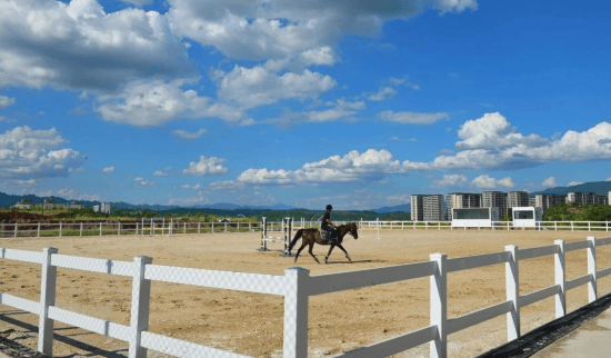两江国际马术赛事中心正式开馆